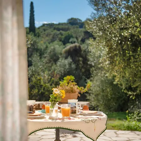 Apartament Frangis Dodeka Agios Spyridon (Corfu)